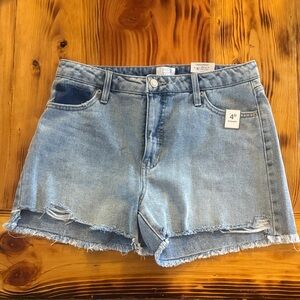 Time and Tru Light Blue Distressed Jean Shorts